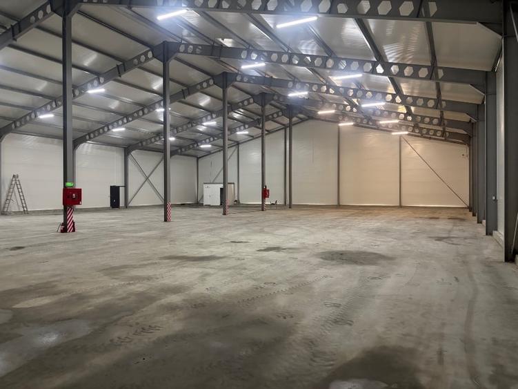 Spațiu industrial, de 1,250 mp, în Cristești