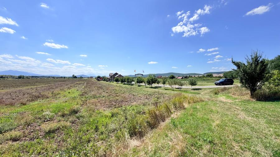Teren intravilan 5.000 mp | Dublu front stradal | Drum asfaltat | Lângă K Tribut - 3