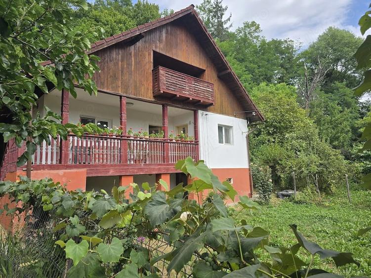 Casă cu 4 camere cu Teren 2500 Mp în Slătioara