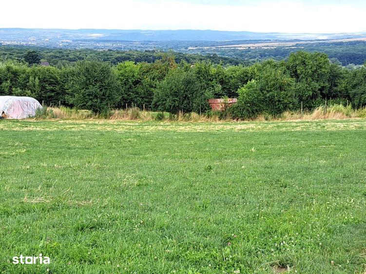 Oportunitate-Teren Extravilan 6200 mp cu vedere Panoramica-Tropinii No - 1