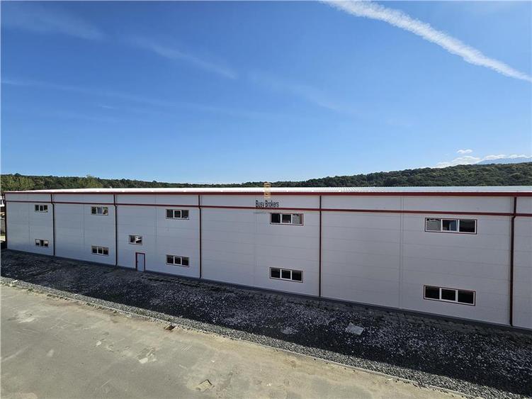 Spațiu industrial, de 6,500 mp, în Mârșa