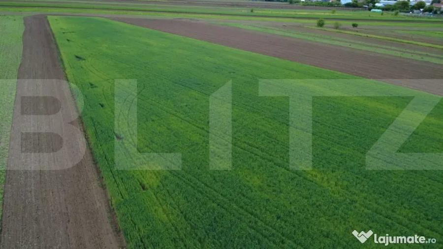 Teren agricol, 5.200 mp, Comuna Sendriceni - 6