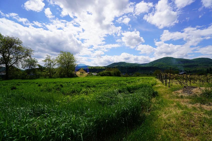 Teren Construcții intravilan de 9000 mp, în Vânători