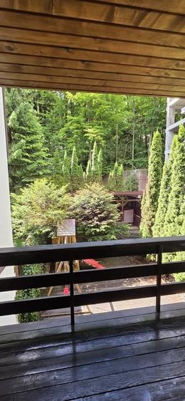 Apartament cu 2 camere de vanzare in Sinaia - 7
