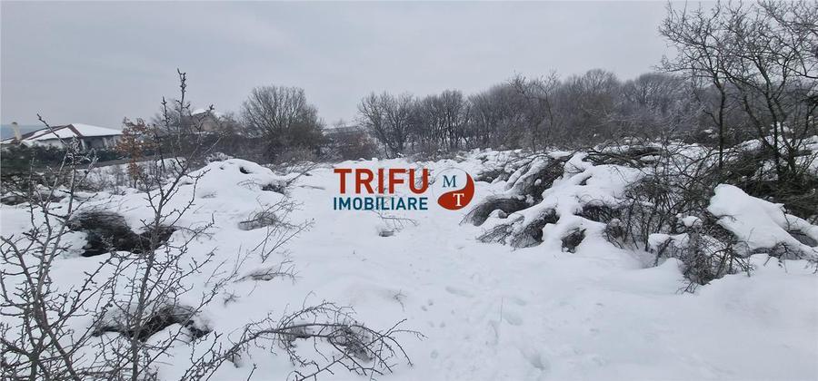 Teren Construcții intravilan de 510 mp, în Ampoi 1