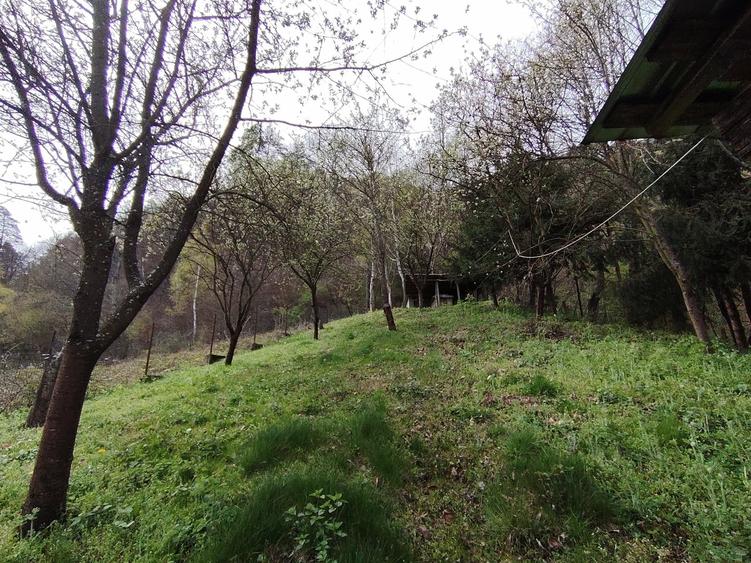 Casă individuală cu 4 camere cu Piscina în Exterior Vest