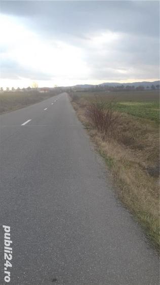 Teren de 3533 mp, în Florești