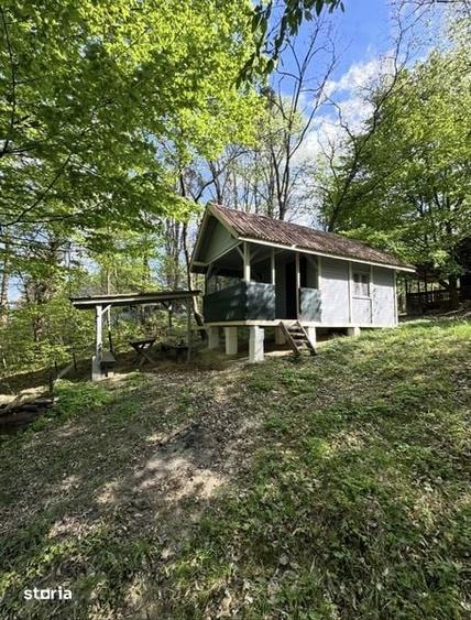 Cabana/Casuta din lemn Lac mujdeni cu ponton privat pe lac - 4