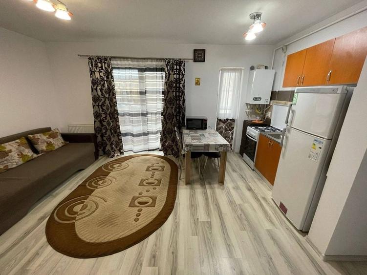 Apartament cu 2 camere semidecomandat în Lotrioara