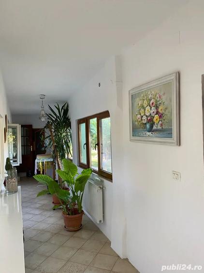 Casă cu 4 camere cu Teren 1500 Mp în Sânandrei