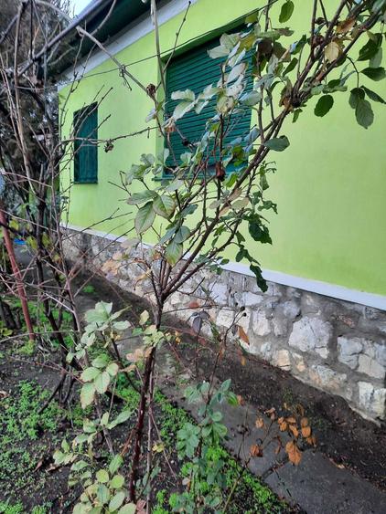 Casă cu 3 camere în Central