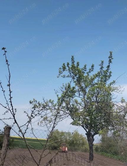 Casă cu 7 camere cu Teren 2000 Mp în Exterior Vest