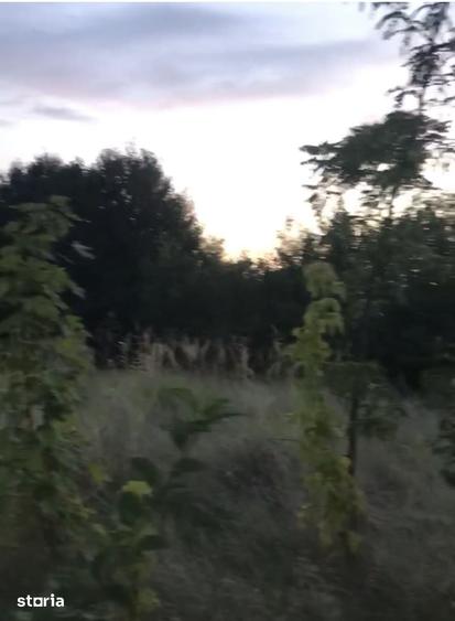 Teren de 1500 mp, în Central