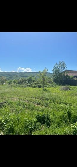 Teren de 4760 mp, în Șerbăneasa