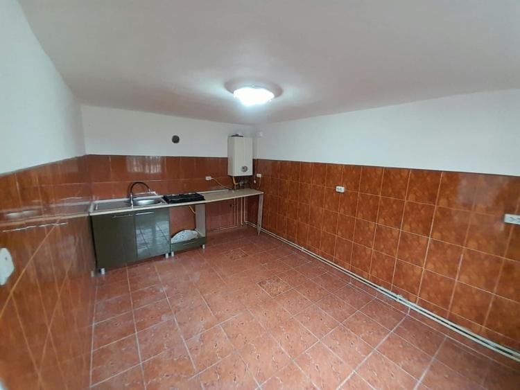 Casă individuală cu 4 camere cu Canalizare în Viișoara