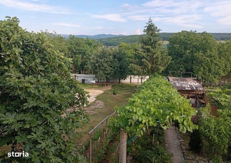 Casă cu 3 camere în Central