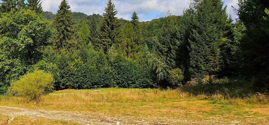Teren de 550 mp, în Central