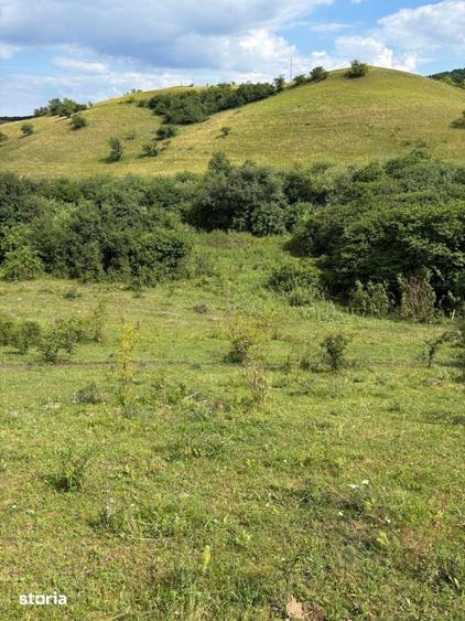 Teren de 2200 mp, în Sava