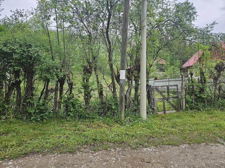Teren intravilan de vanzare - 6