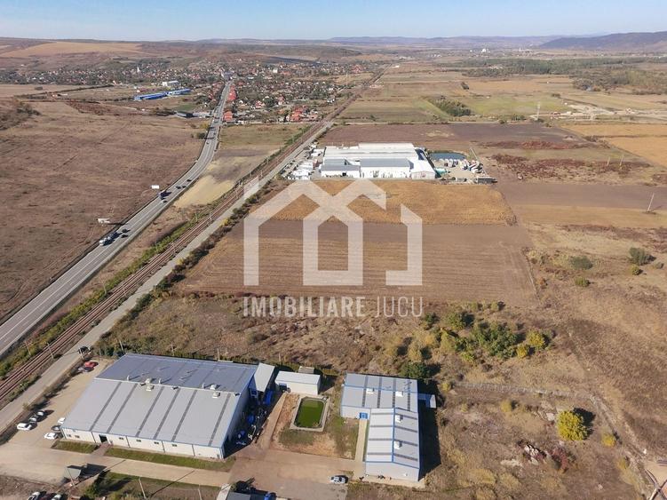 Teren Construcții intravilan de 10073 mp, în Răscruci
