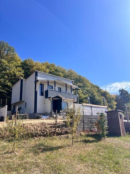 Casă cu 4 camere în Valea Mare