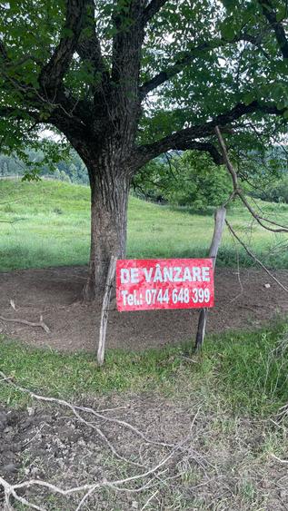 Teren de 1625 mp, în Poiana