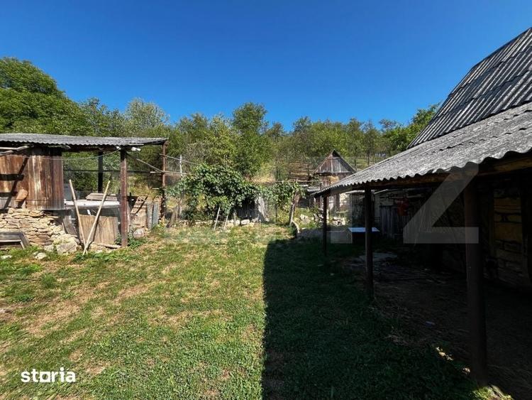 Casă cu 3 camere cu Teren 2500 Mp în Mihai Viteazu