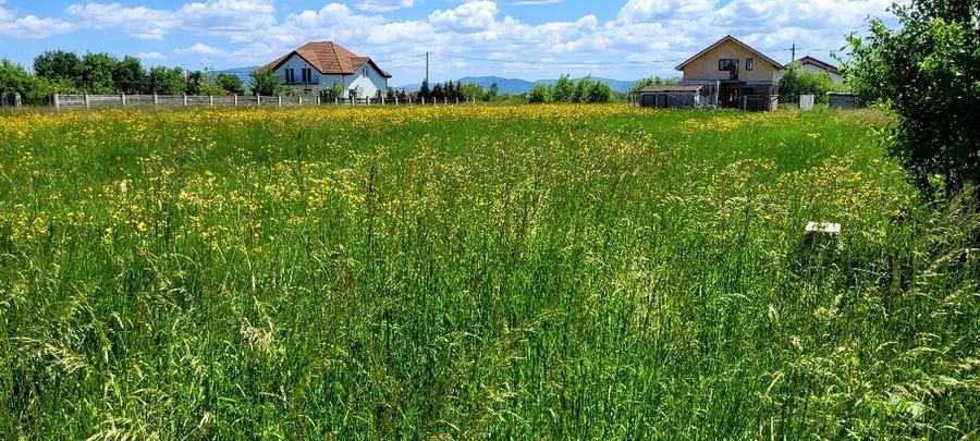 Teren de 5700 mp, în Hărman