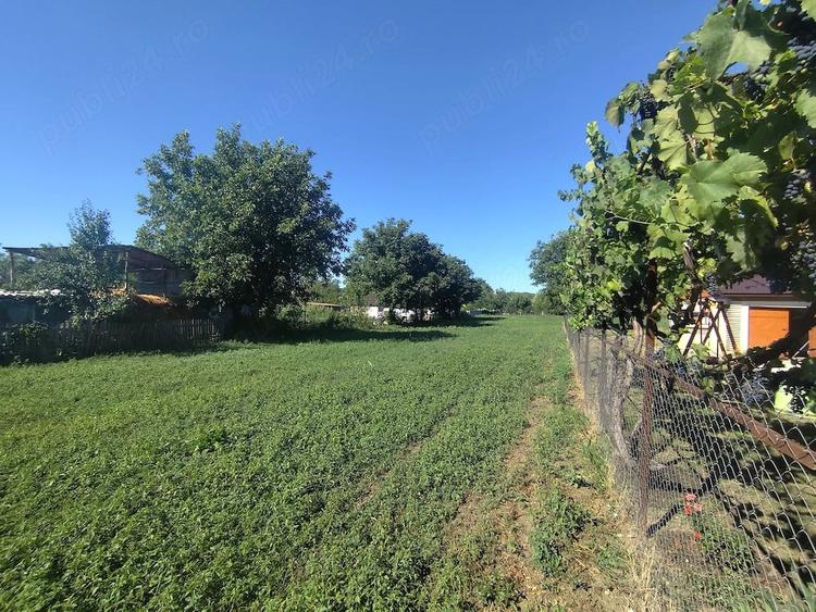 Casă cu 4 camere cu Teren 4000 Mp în Ștefănești