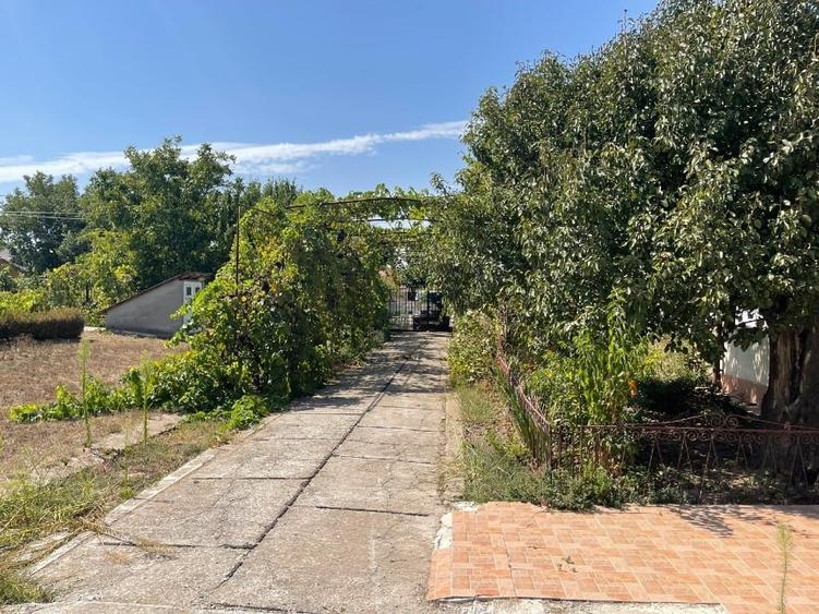 Casă individuală cu 5 camere cu Canalizare în Cobadin
