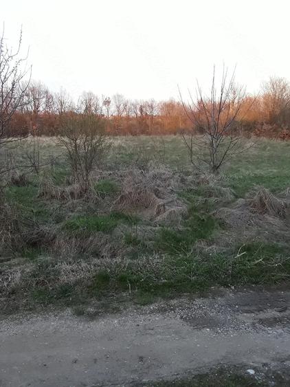 Teren de 3200 mp, în Cocu