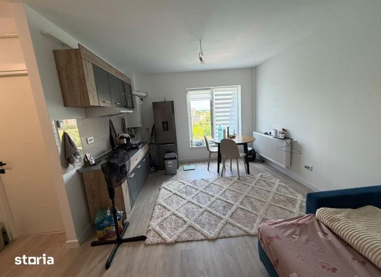Apartament 1 camera Lunca Cetatuii , 30 metri, etaj 3 Cod:163362 - 4