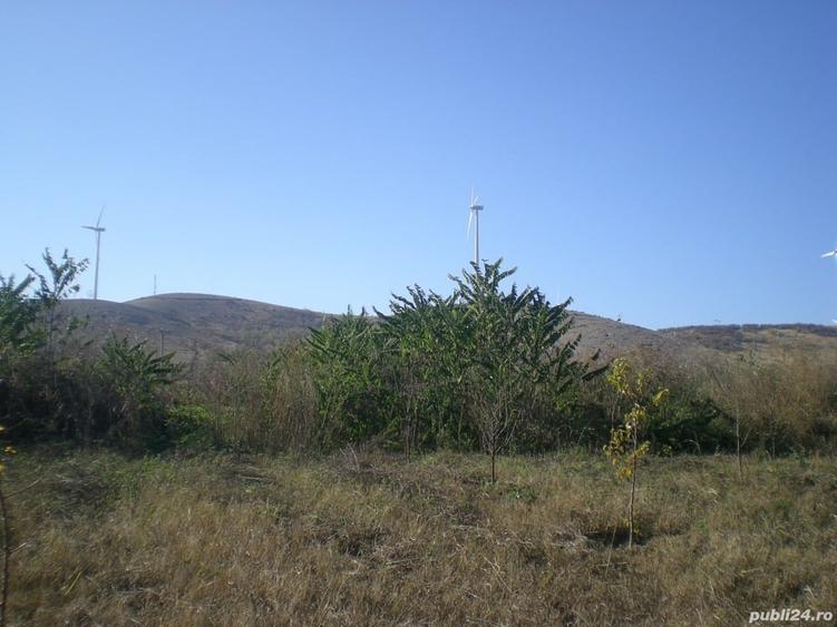 Teren de 1300 mp, în Agighiol
