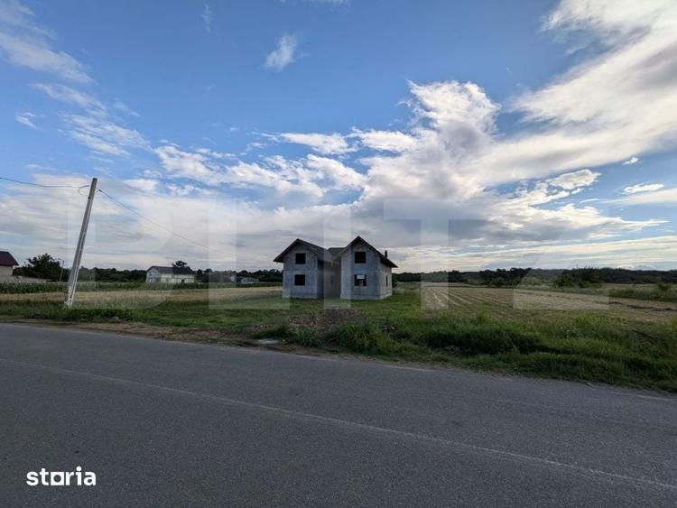 Casa Spatioasa la Rosu cu 7.500 mp Teren Oportunitate Rara in Luc - 3