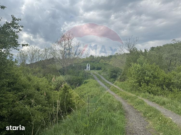 Casă cu 4 camere cu Teren 57600 Mp în Zimbor