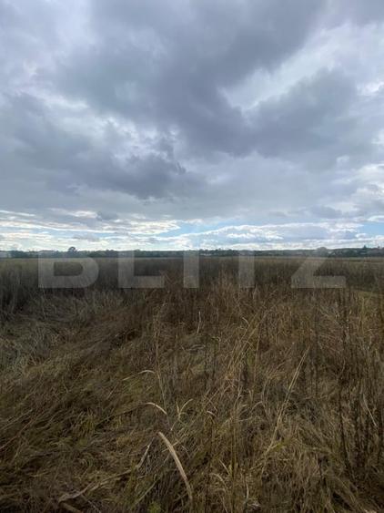 Teren agricol extravilan de 2500 mp, în Lucieni