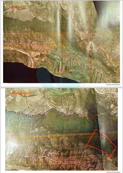 Teren extravilan de 100000 mp, în Berca