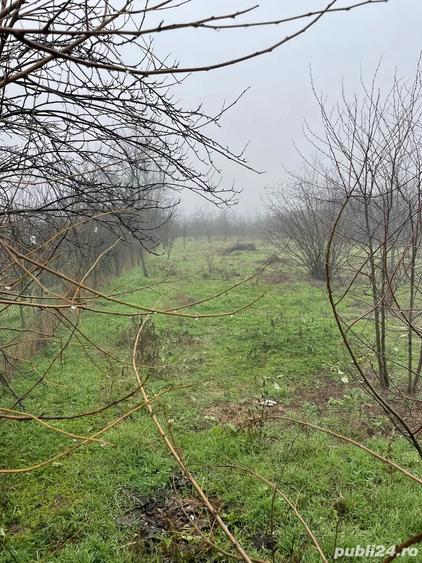 Casă cu 2 camere cu Teren 1345 Mp în Gorneni
