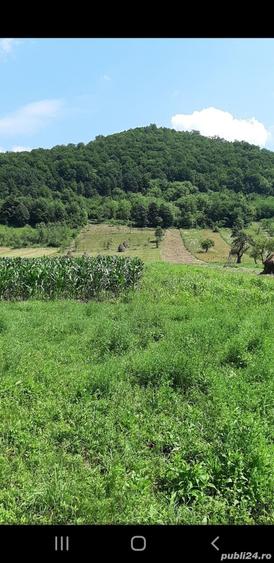 Teren de 6700 mp, în Buceava-Șoimuș
