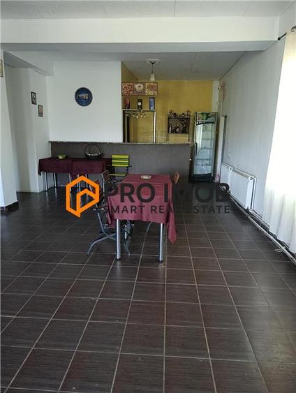 Casă individuală cu 8 camere cu Teren 2100 Mp în Lunca Frumoasă