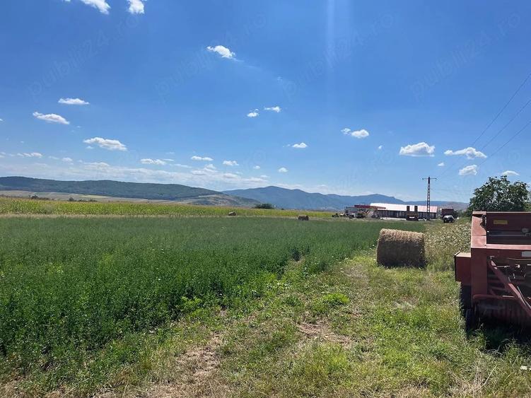 Teren de 7500 mp, în Central