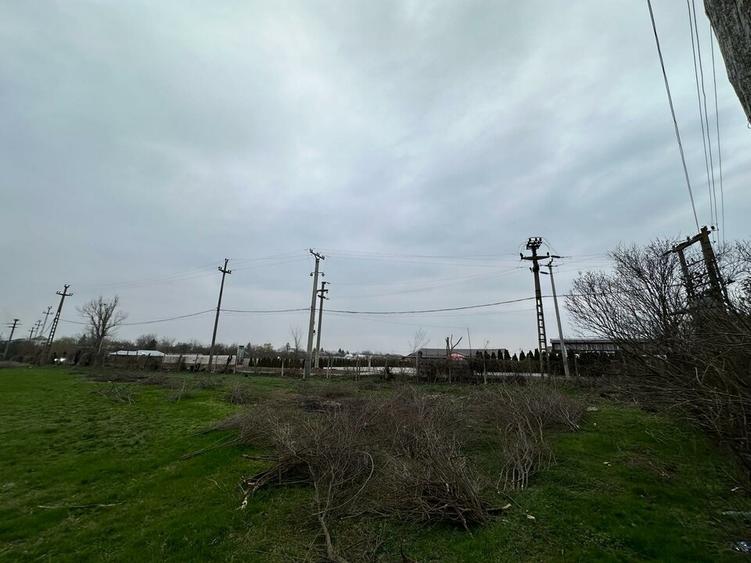 Teren Construcții intravilan de 155000 mp, în Mogoșești