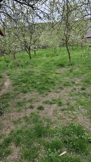 Intravilan in zona superba de deal- accept si schimb - 6