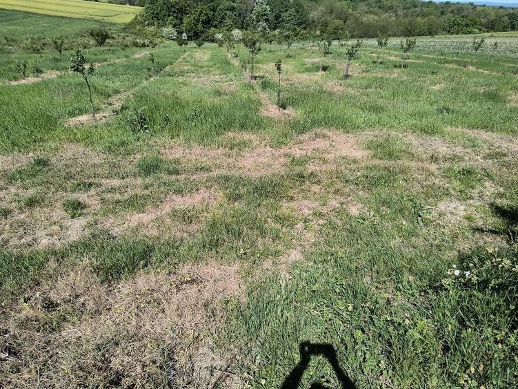 Teren de 8700 mp, în Ramna