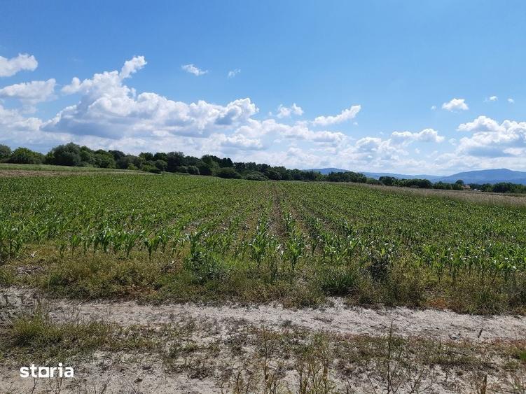 Teren agricol Podu Oltului la limita UAT Harman si UAT Prejmer - 1