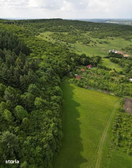 Teren de 700 mp, în Baciu