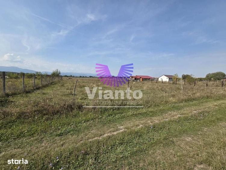 Teren extravilan 1500 mp Selimbar-langa troita - 1
