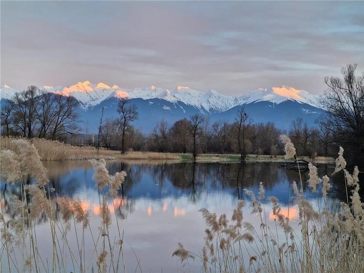 Teren agricol extravilan de 5820 mp, în Colun