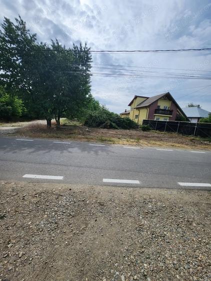 Teren de 1271 mp, în Domnești