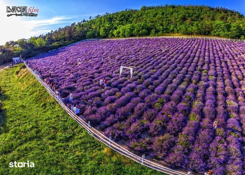 Teren de 8000 mp, în Central